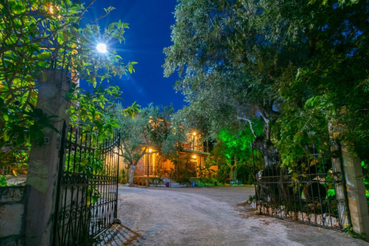 Studios Anna Kerí Kültér fotó